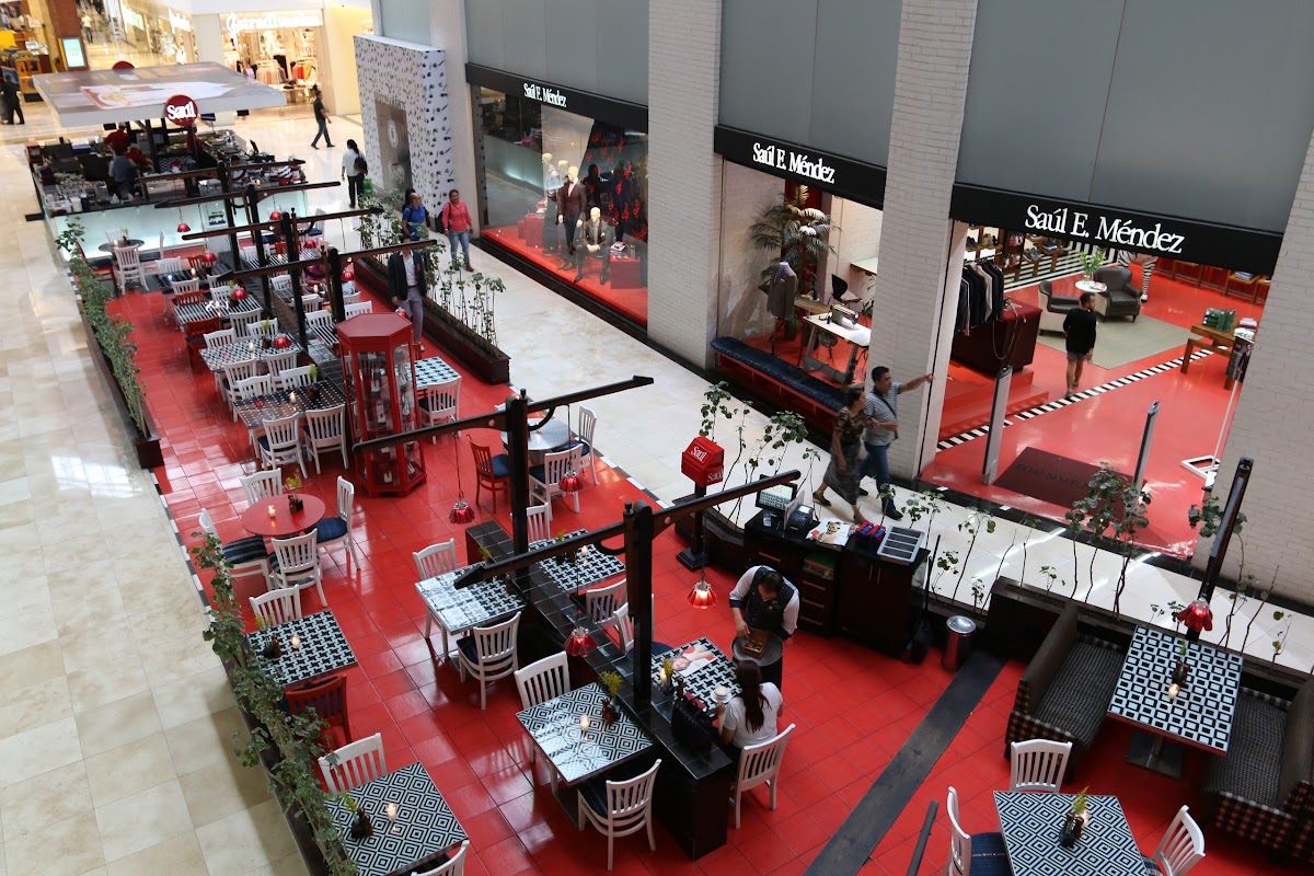 Saúl Cafe